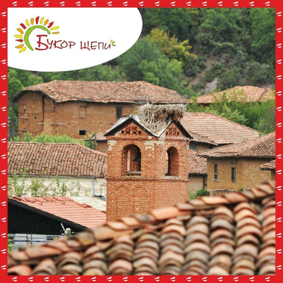 Guest House Bukor Shtepi Mandrica 外观 照片